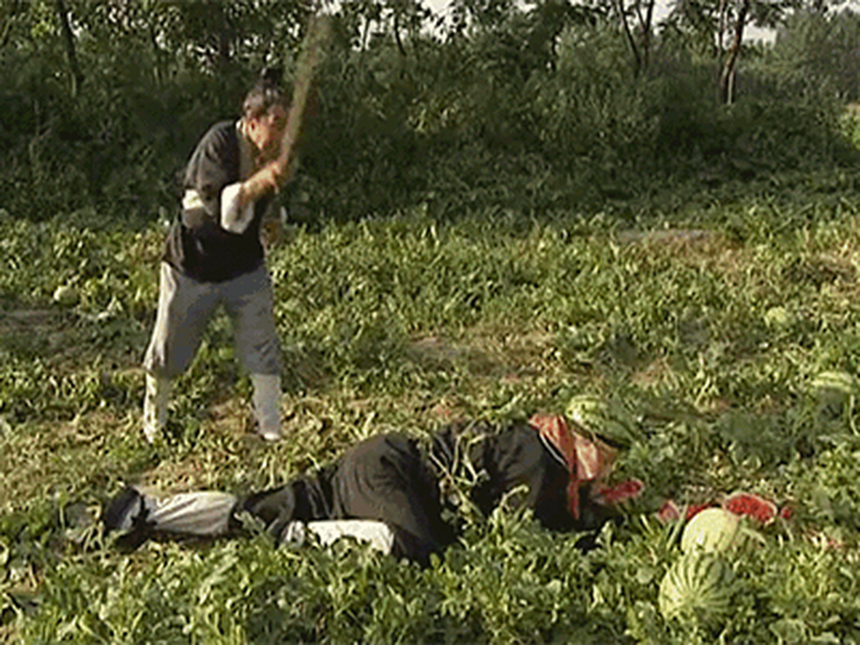 西游记精彩片段八戒偷瓜