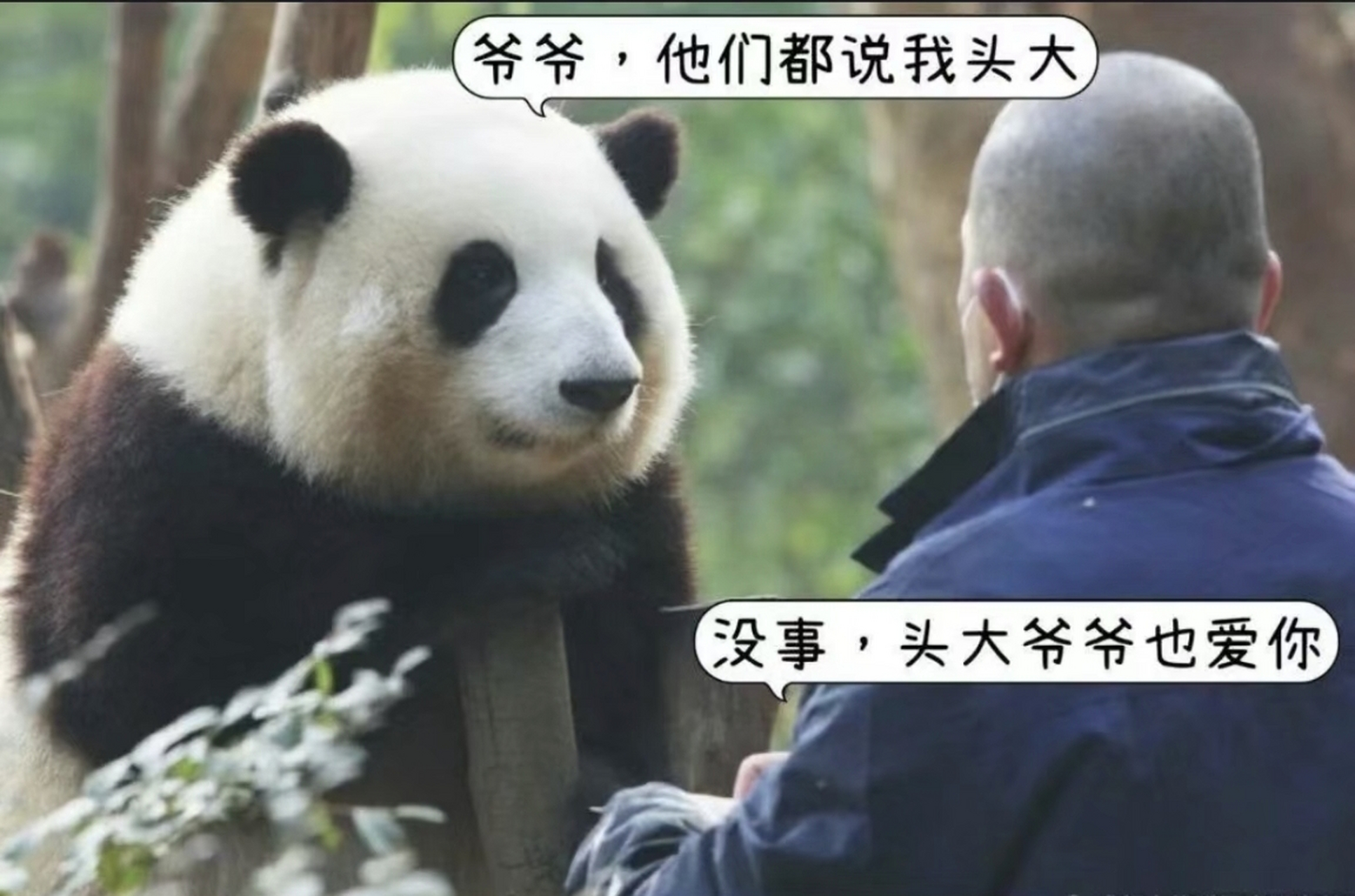 网友:头大脸圆腿短没有脖子的煤气罐罐,真的太可爱了