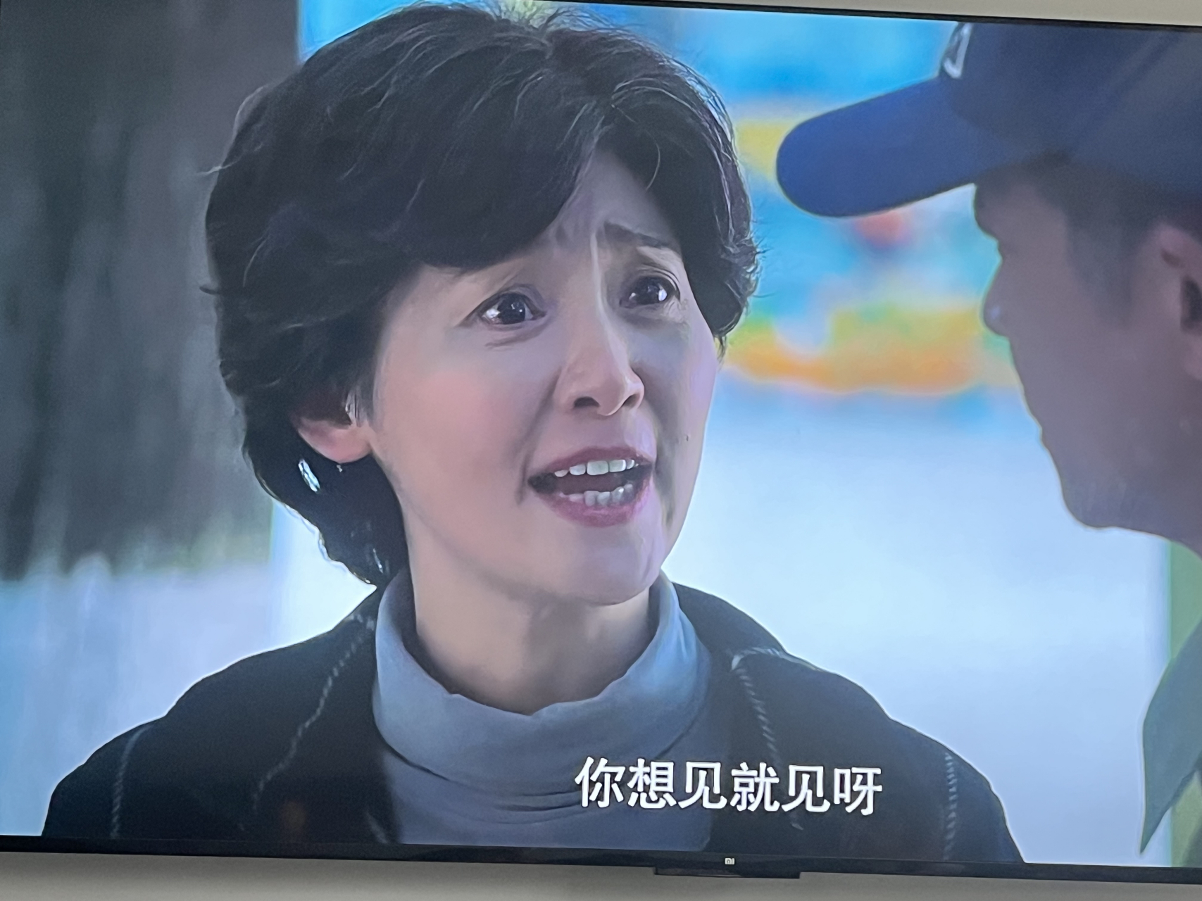 由徐帆,王志文,藍盈瑩等人主演的都市劇《一樹桃花開》,盛茂林(王志文