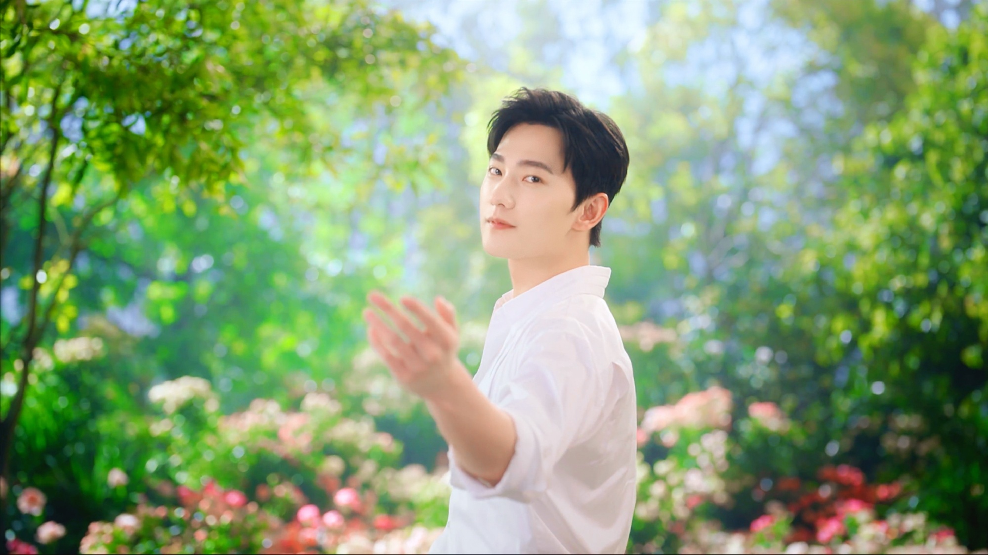 杨洋广告大片!代言半亩花田!