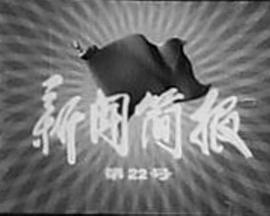 《 新闻简报1975年第22号》王者传奇激活码序列号