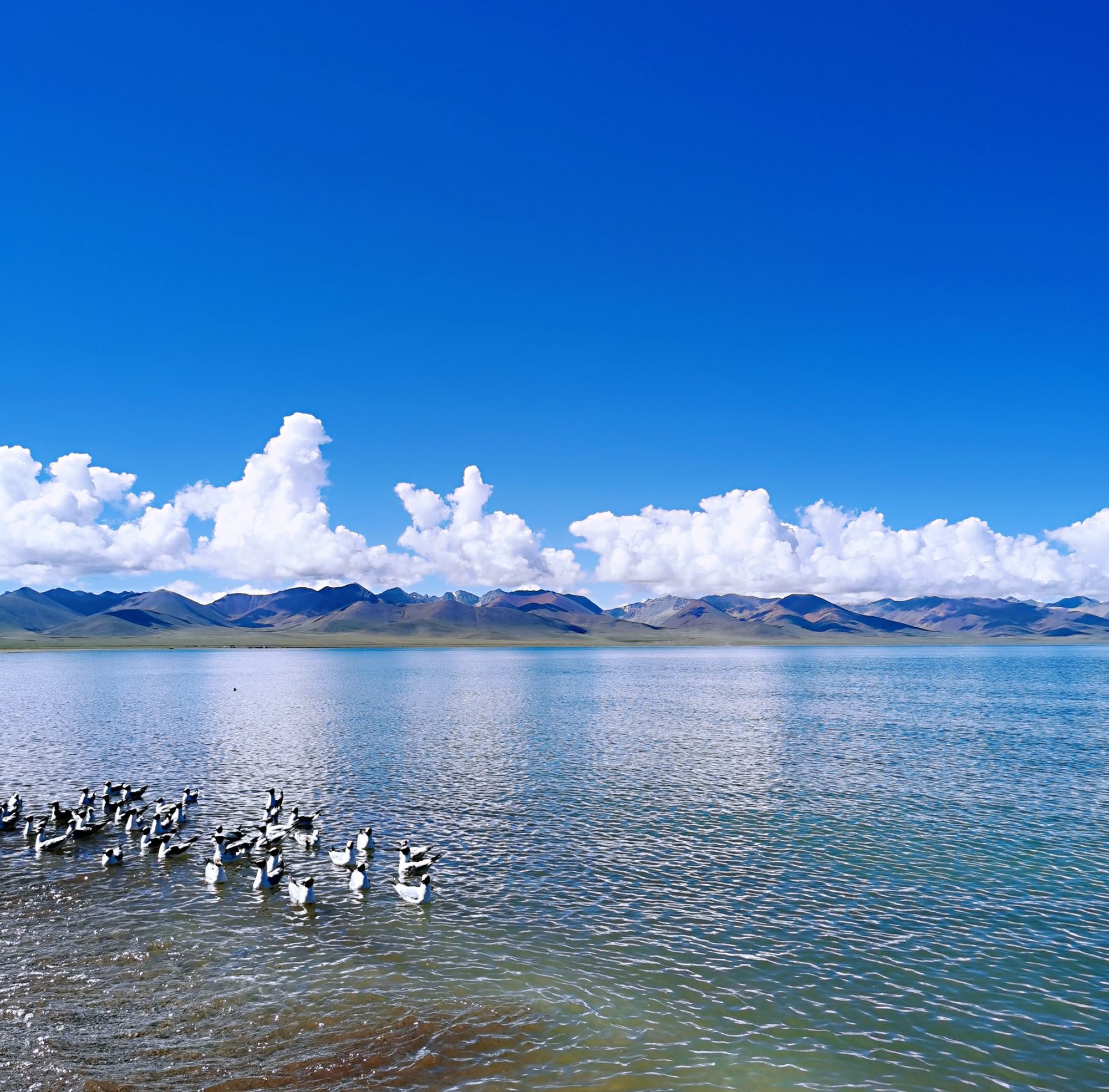 纳木错湖简介风景图片图片