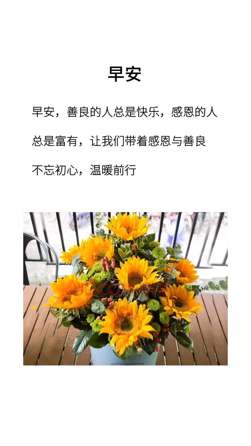 善良的人总是快乐,感恩的人总是富有,让我们带着感恩与善良,温暖前行.