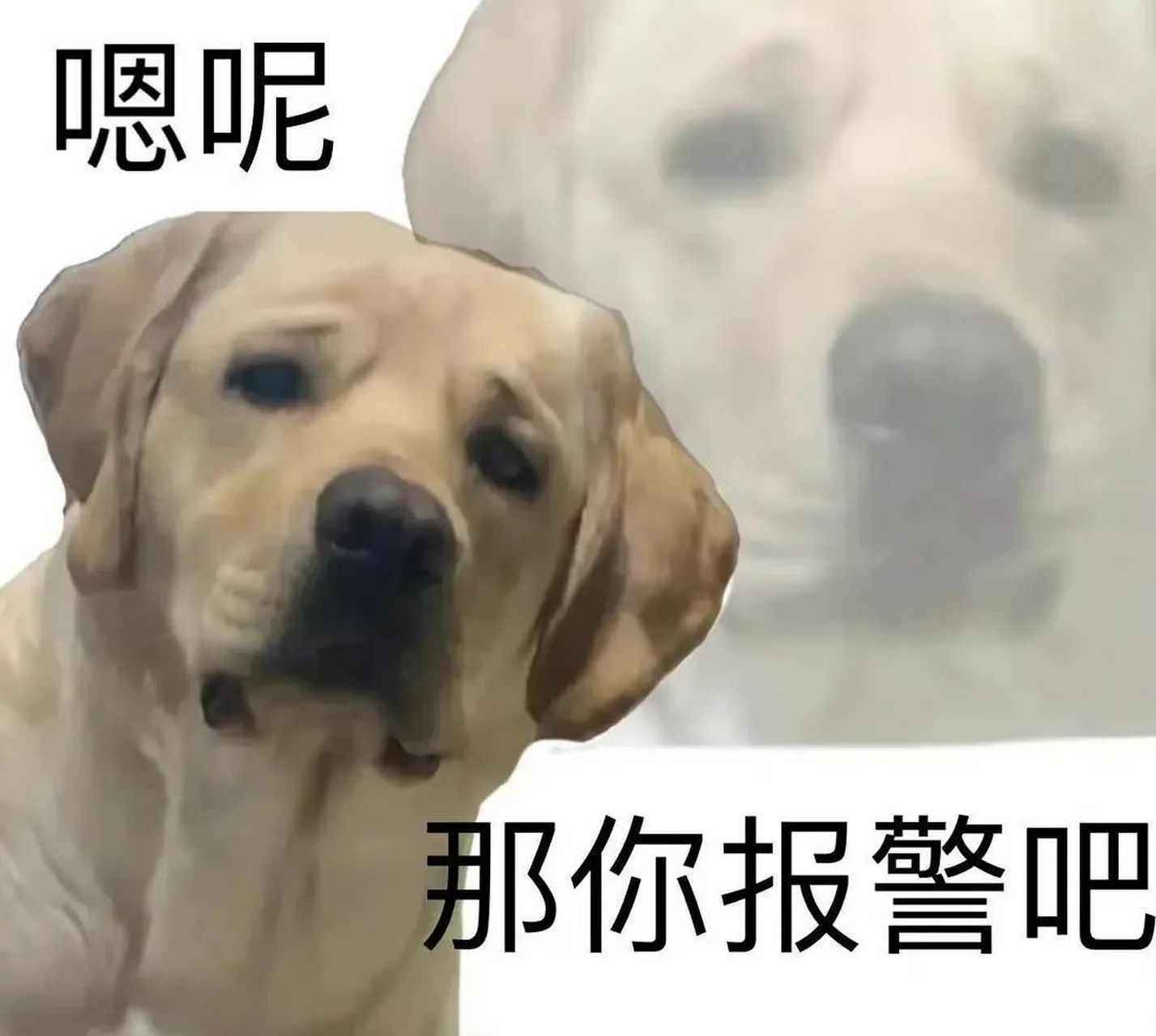 逗你玩呢# #表情包# 很喜欢听你的课,有种不知所云的感觉