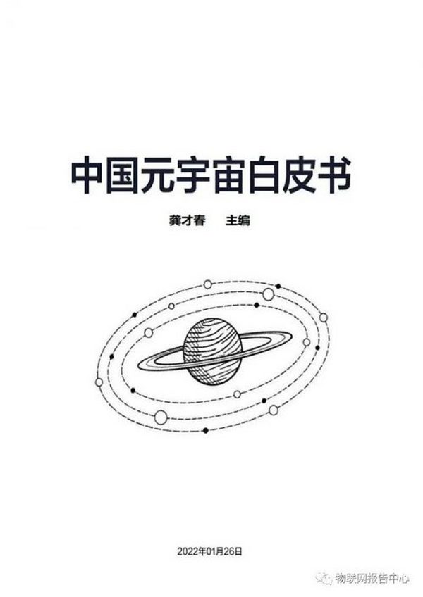 中国元宇宙白皮书