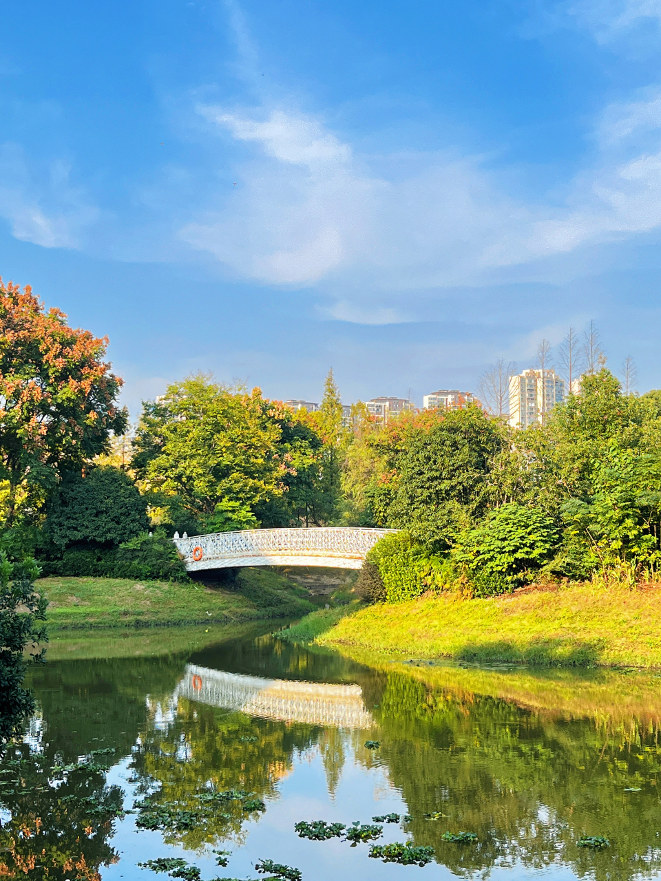 长沙适合一个人无聊闲逛的地方  小众人不多的公园,浏阳河婚庆文化