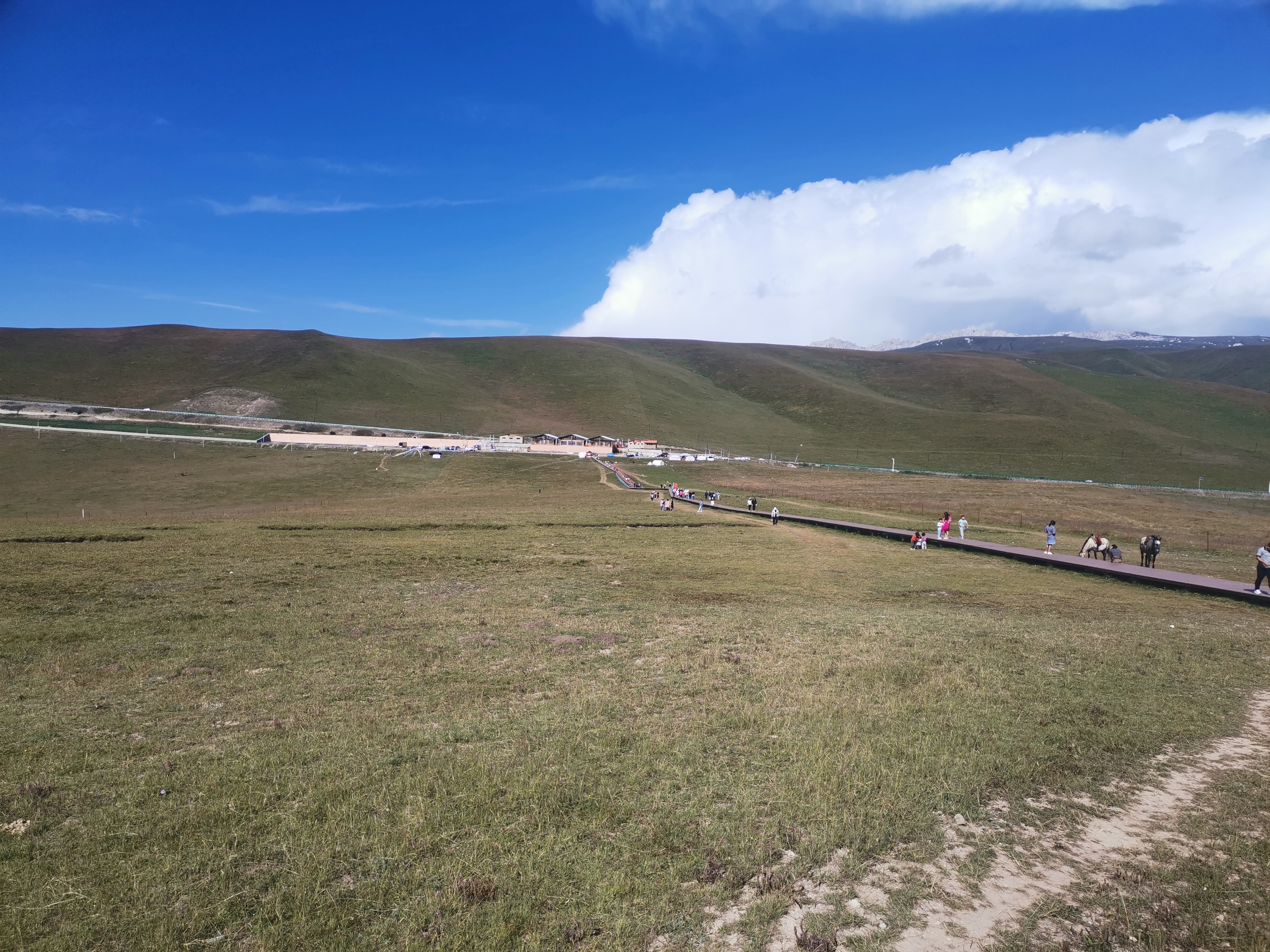 甘南郭莽湿地公园还保存着历史的痕迹,公园中有一座古老的城楼