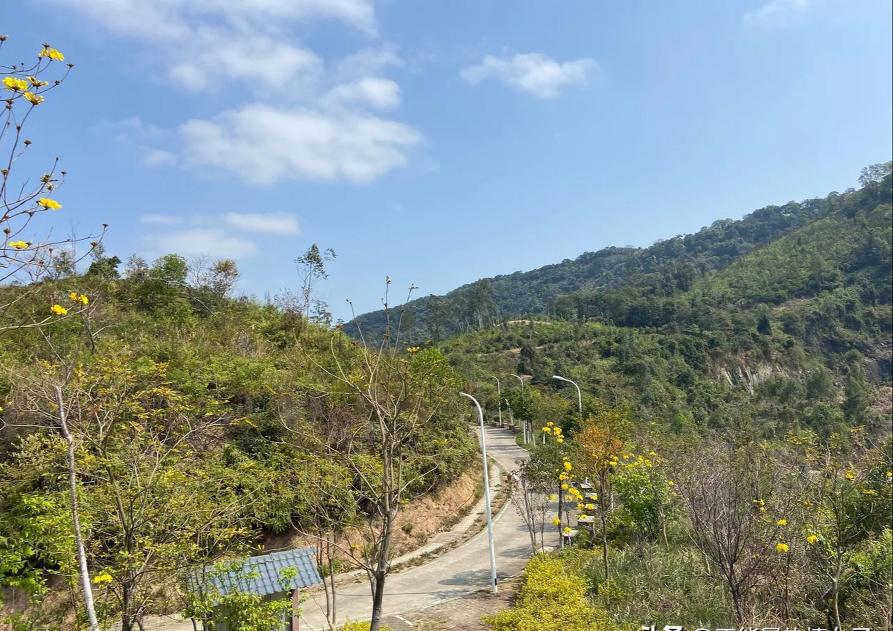 "野长城"位于广州牛头山上,牛头山是天鹿湖公园最高顶,海拔362米.