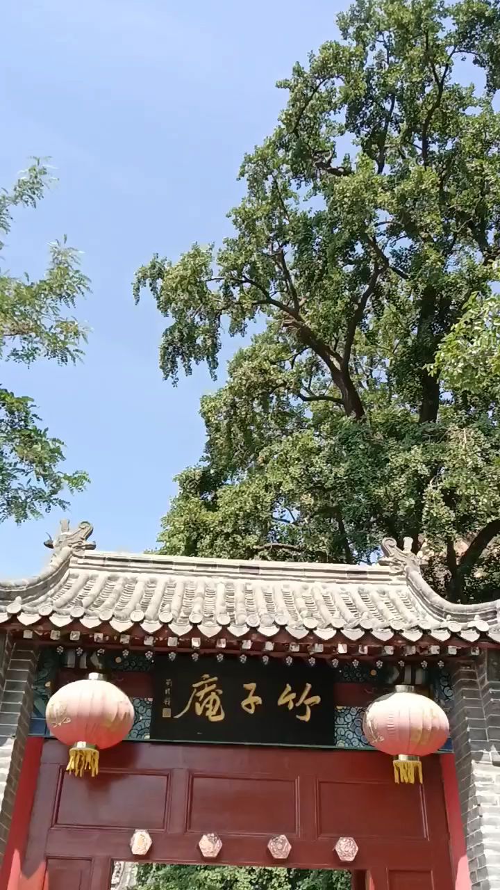 青岛竹子庵(玄阳观)古银杏,树龄1600多年