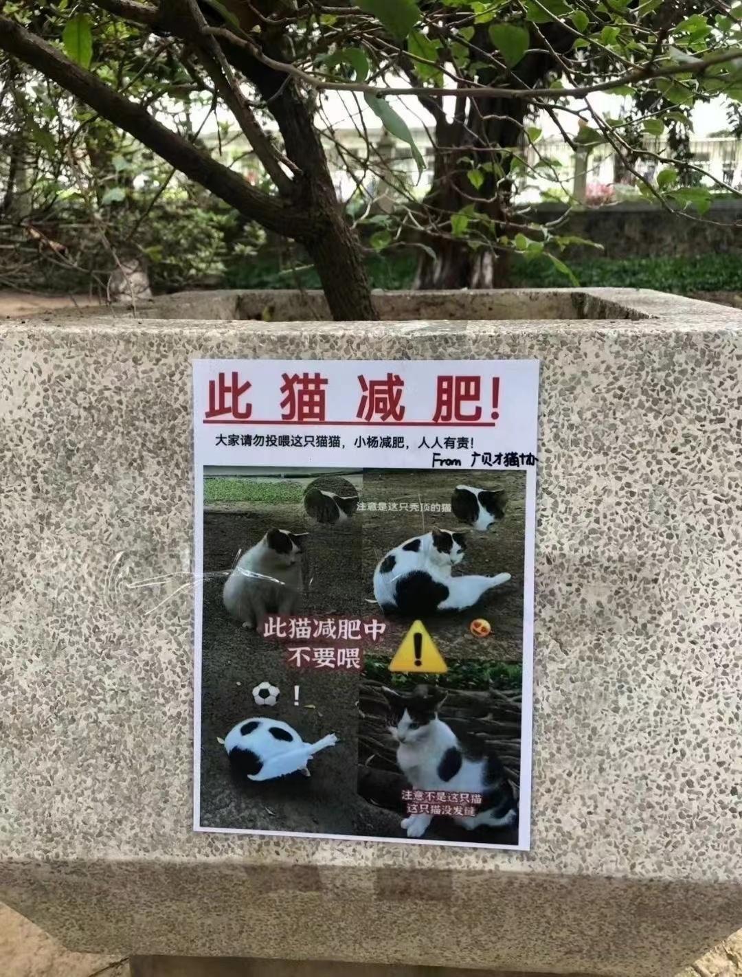 盘点那些令人发笑的图片:我都在开导你了,希望你不要恩将仇报!