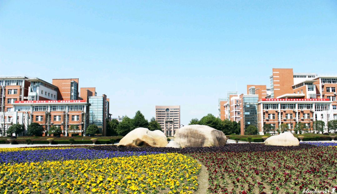 杭州电子科技大学|特色优势&王牌专业