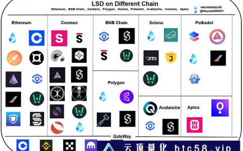 多生态 LSD 发展报告：赛道很宏伟 项目很早期