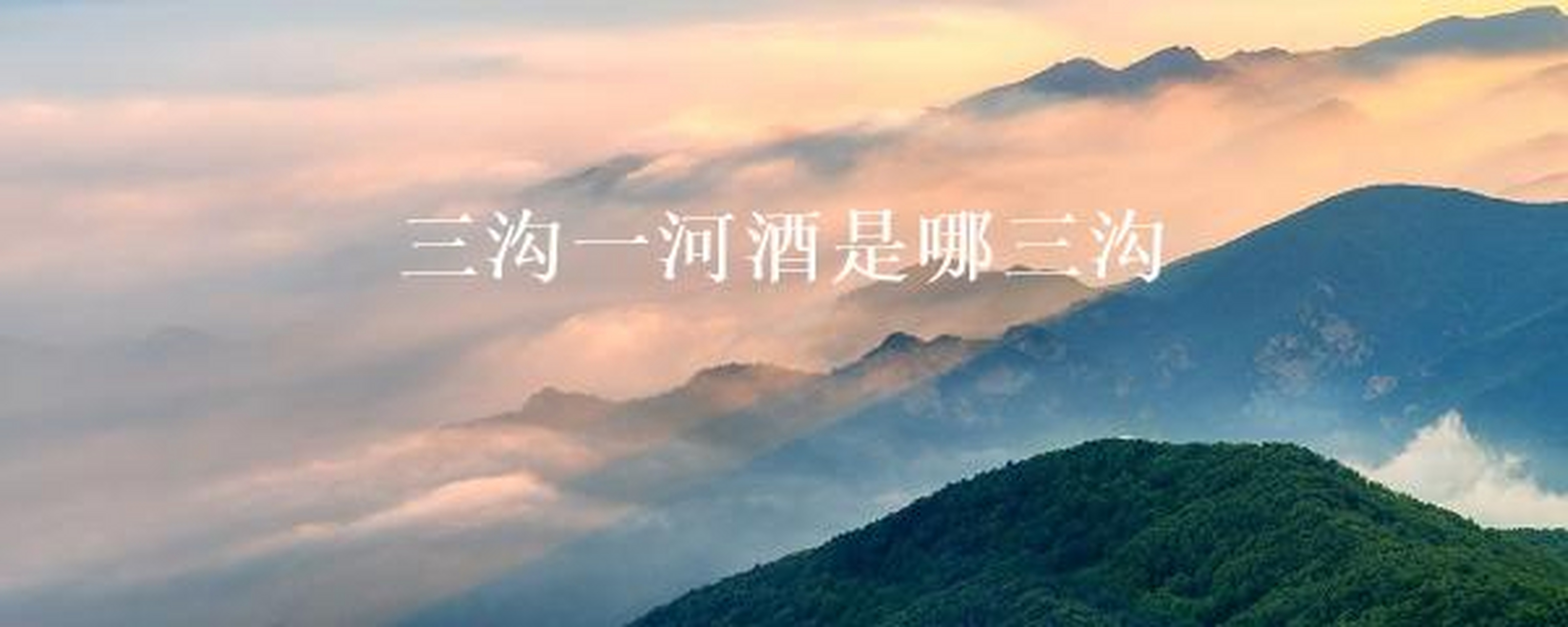 江苏三沟一河酒→ 三沟是指高沟大曲,双沟大曲,汤沟大曲,一河是指洋河