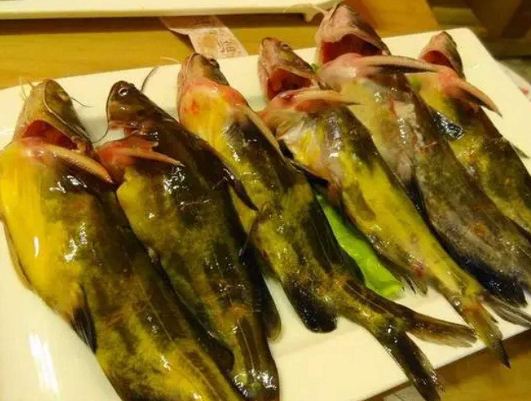 在处理黄辣丁时,需要仔细清洗鱼表面,挖掉内脏后反复冲洗干净.