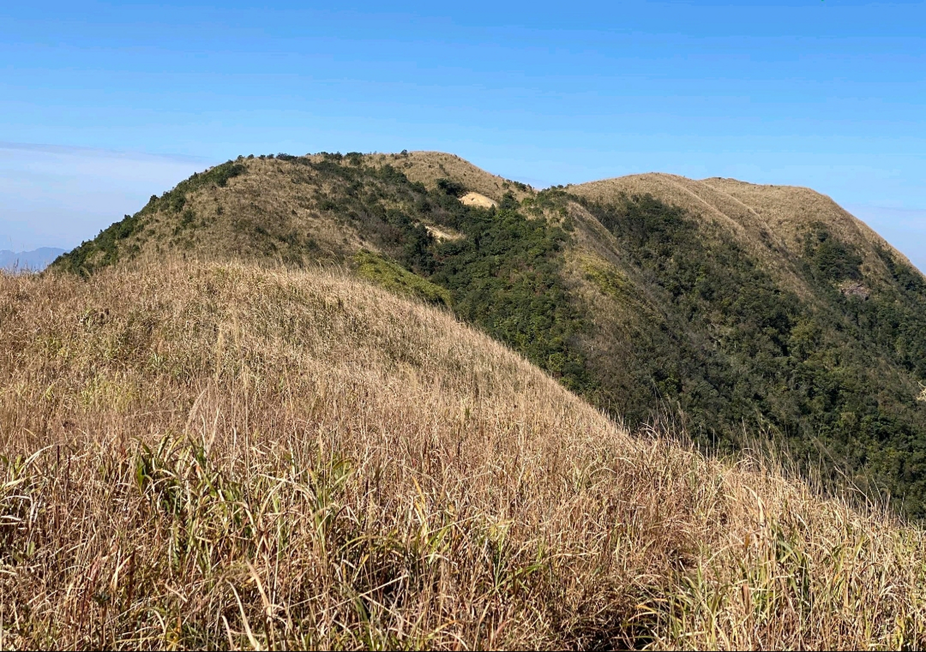 罗定龙须山图片