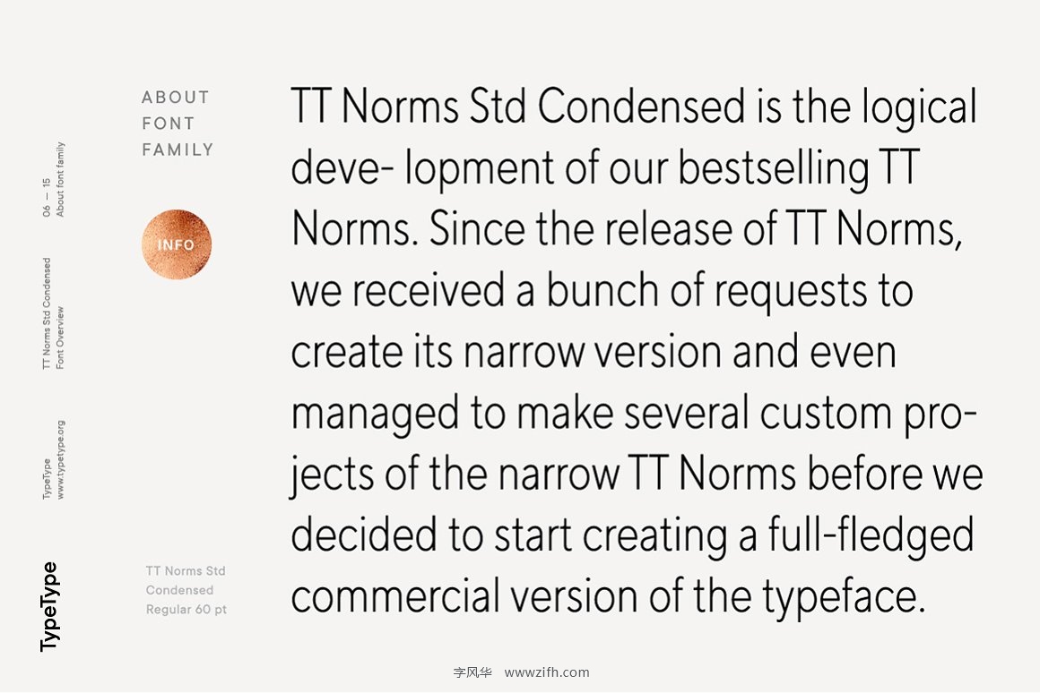 TT Norms Std Condensed-5.jpg