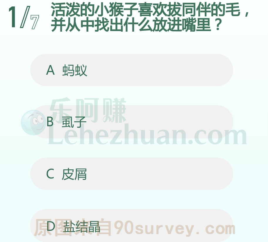 活泼的小猴子喜欢拔同伴的毛并从中找出虱子放进嘴里 活泼的小猴子喜欢拔同伴的毛并从中找出虱子放进嘴里
