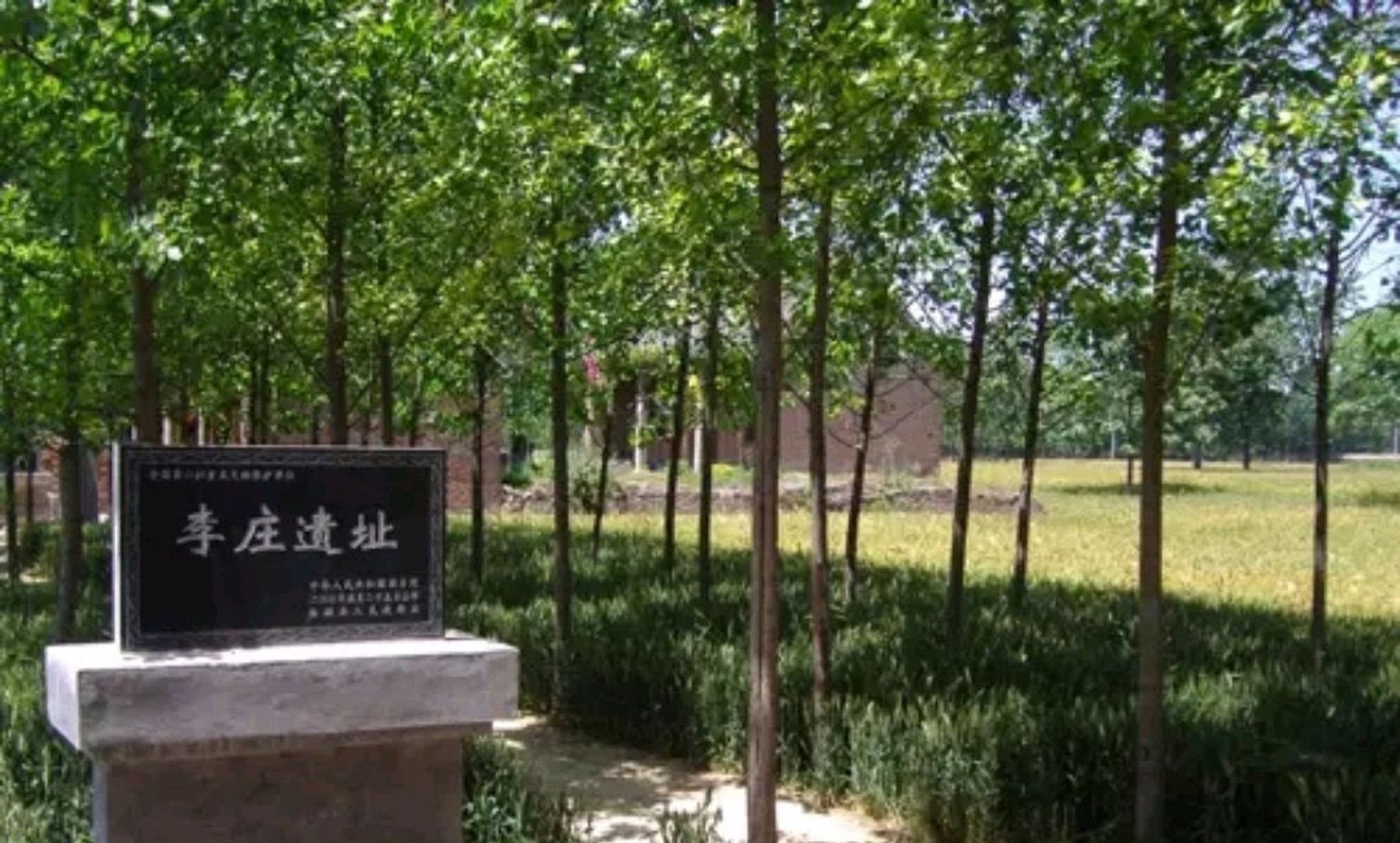 李庄遗址,又叫"山台寺遗址",位于柘城申桥乡李庄村,因其基址上过去有