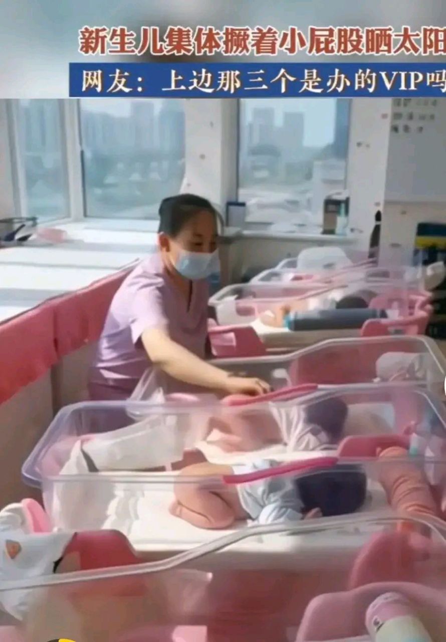 7月31号,浙江杭州 你见过新生儿集体撅着小屁股晒太阳吗?