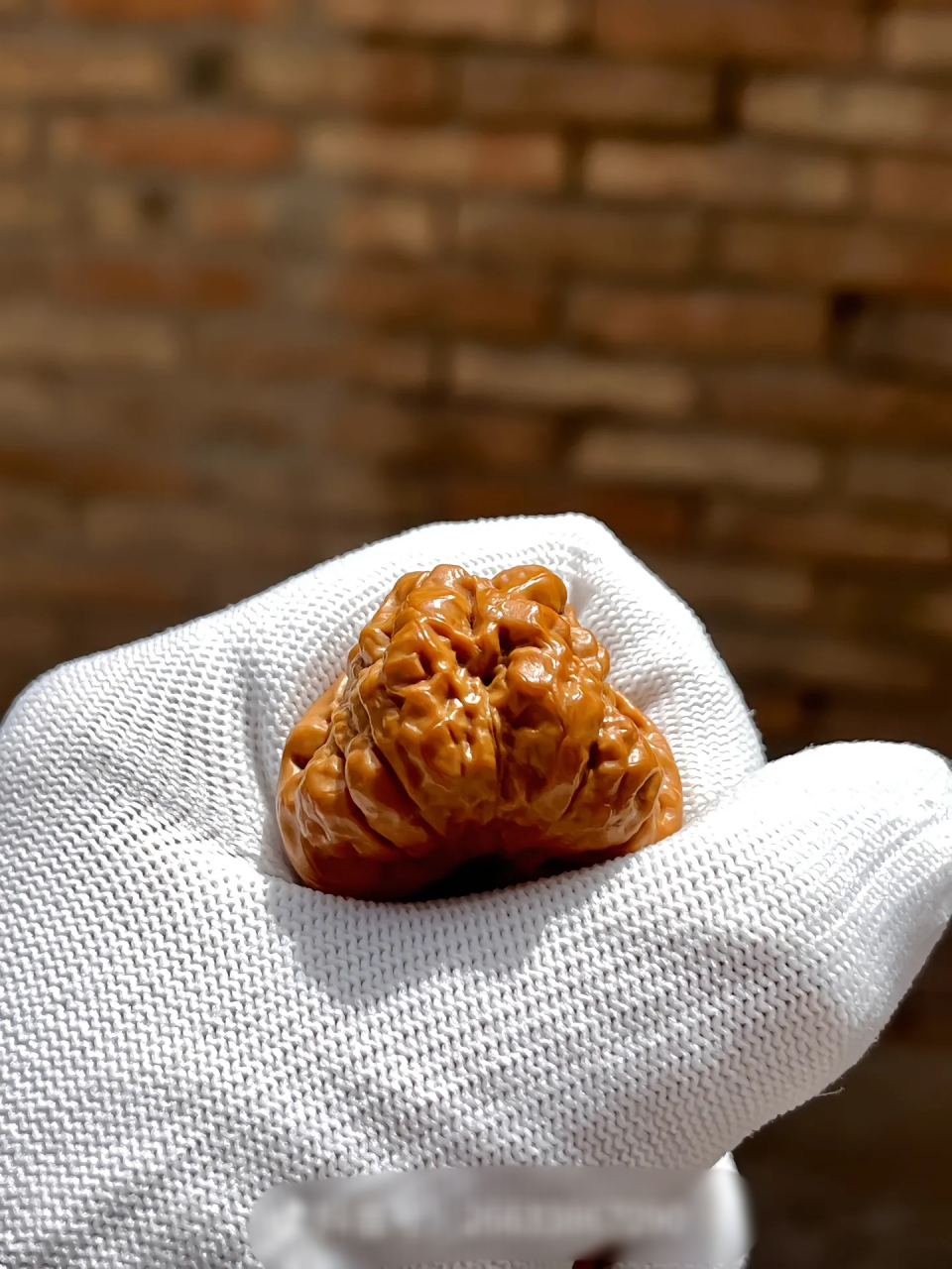 手工# 这样的蛤蟆头不用盘玩,静静的欣赏都很舒服,金蟾蛤蟆头狮子 