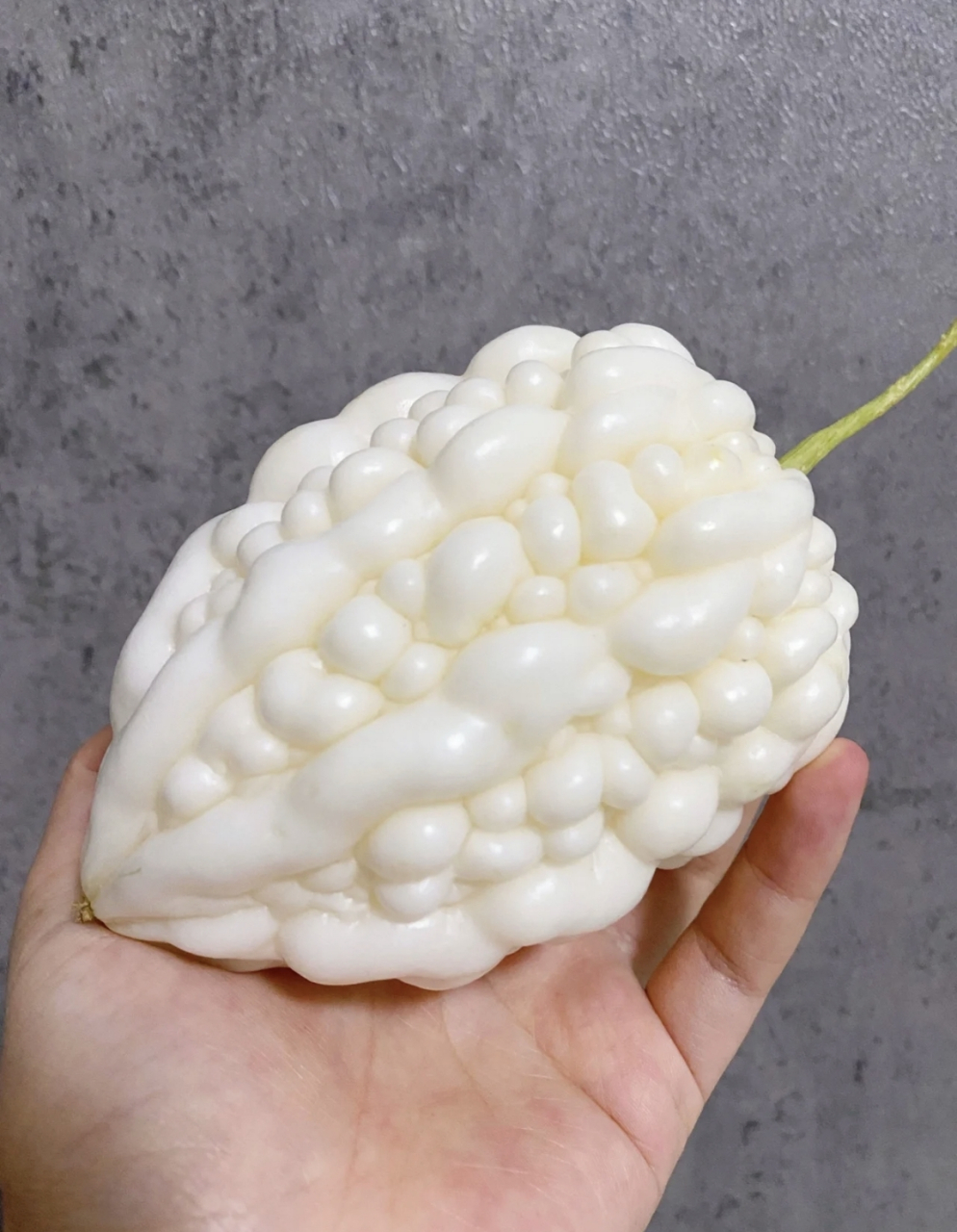 苹果苦瓜,号称甜度高,可以直接生吃的苦瓜品种,其实和普通苦瓜差不多