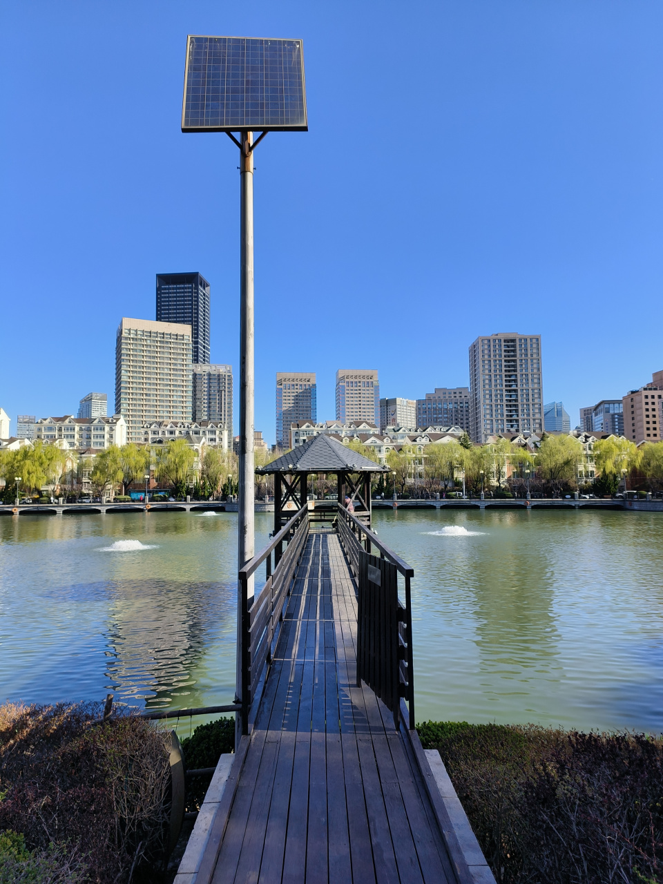 大连儿童公园的春天,明泽湖水波荡漾,阳光明媚,春意盎然,景色太美了