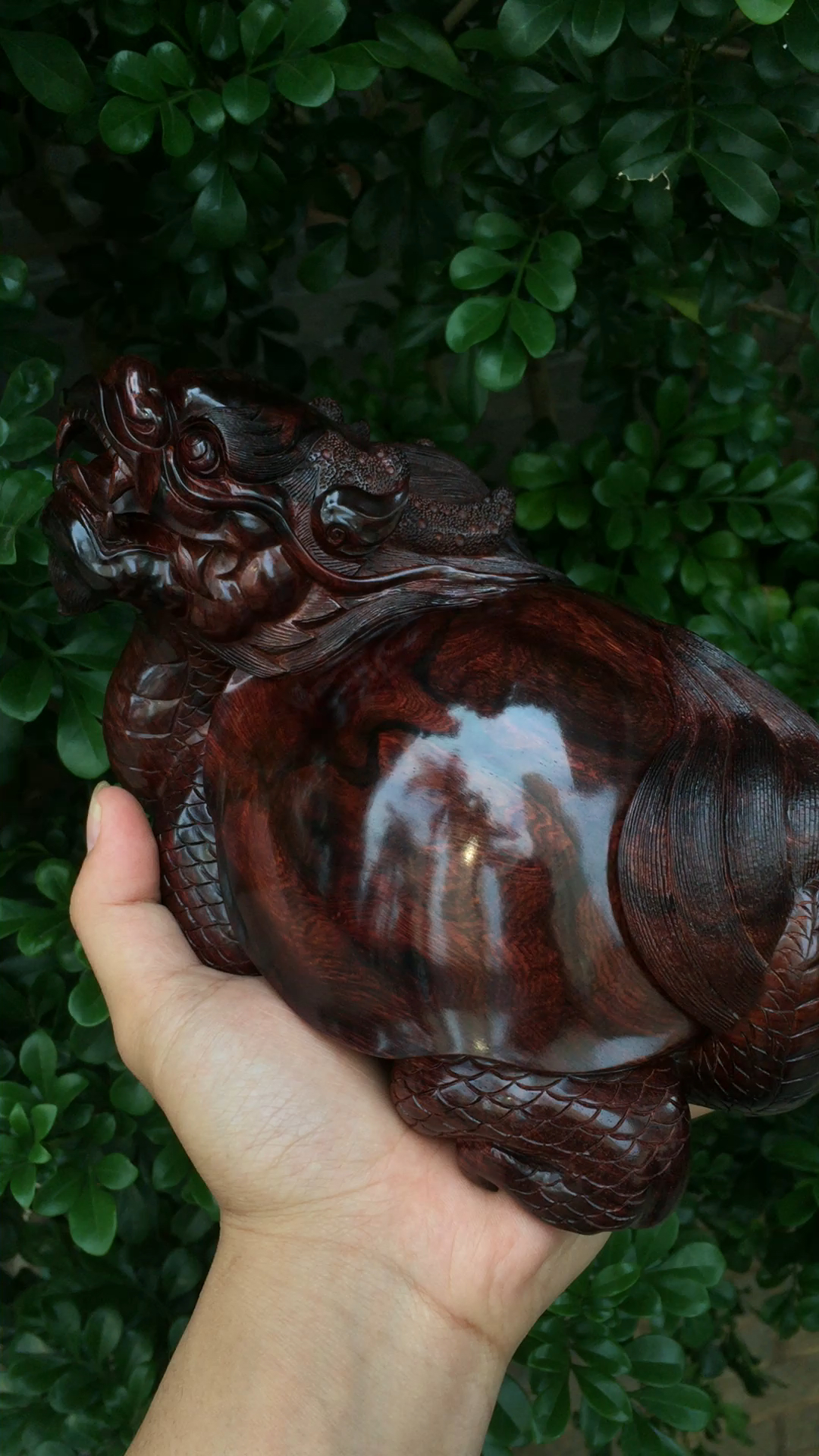 海南黄花梨龙龟