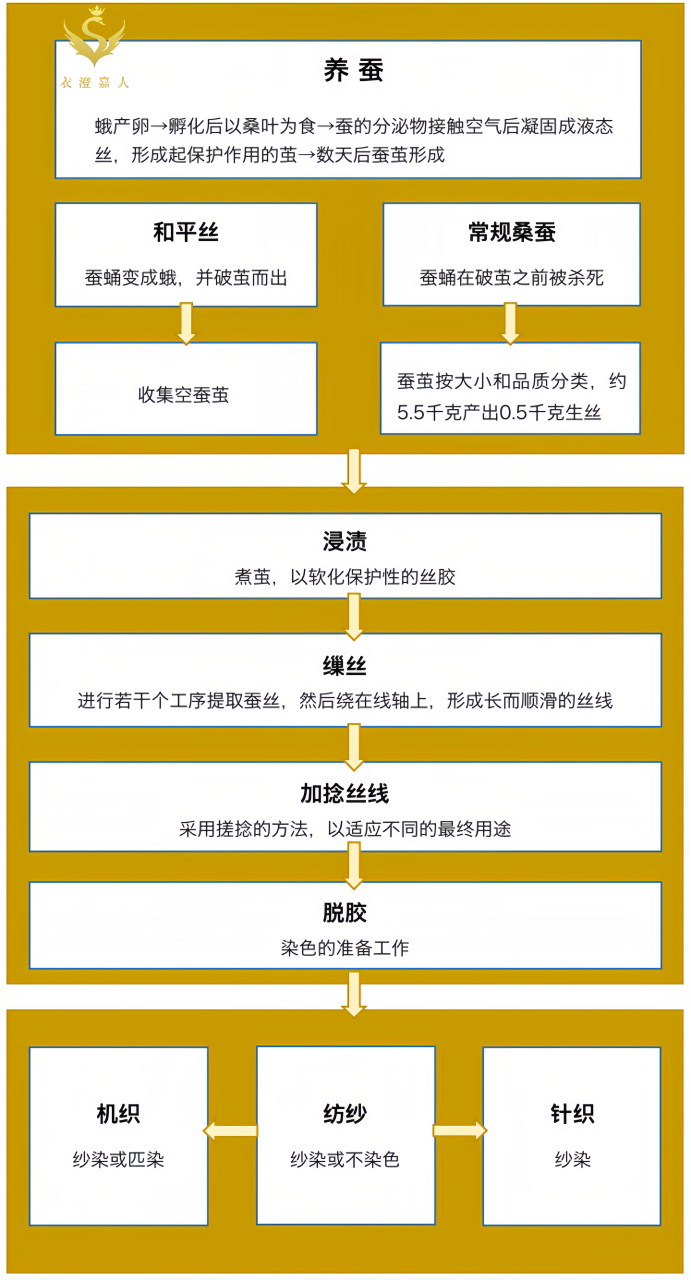 蚕丝的制作过程原来这么复杂啊73 制图by衣澄嘉人cc