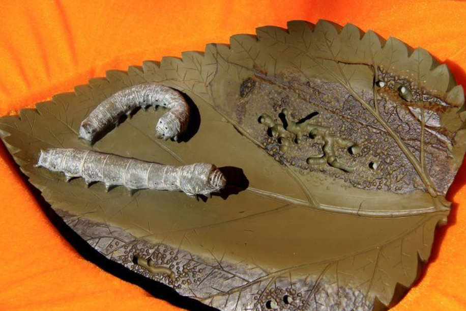 农民抓鱼时捡到一条"金蚕",拒绝2万收购,上交国家成一级文物