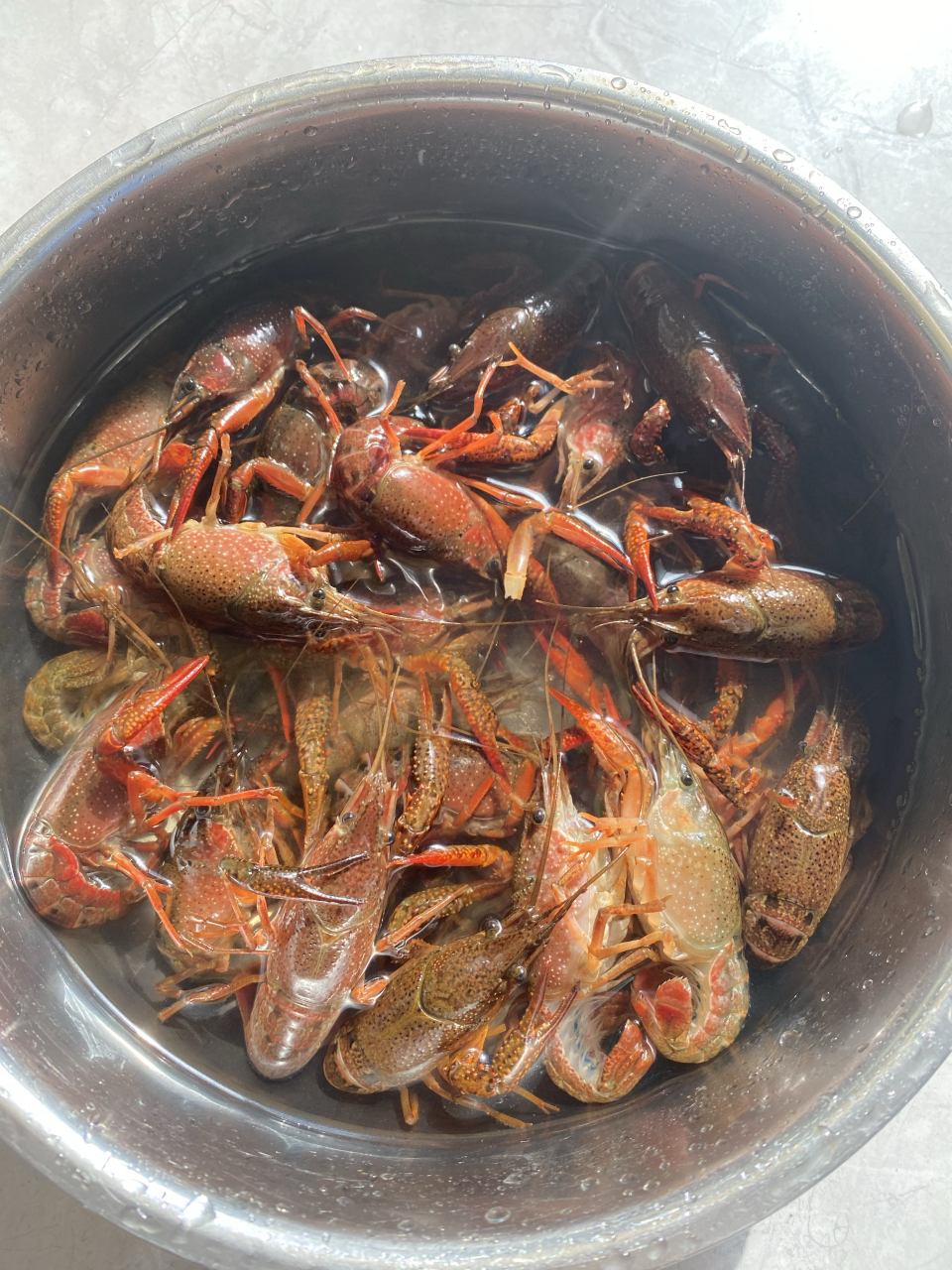 花了23块钱买了一斤龙虾,自己做的干净又卫生,虾肉很嫩.