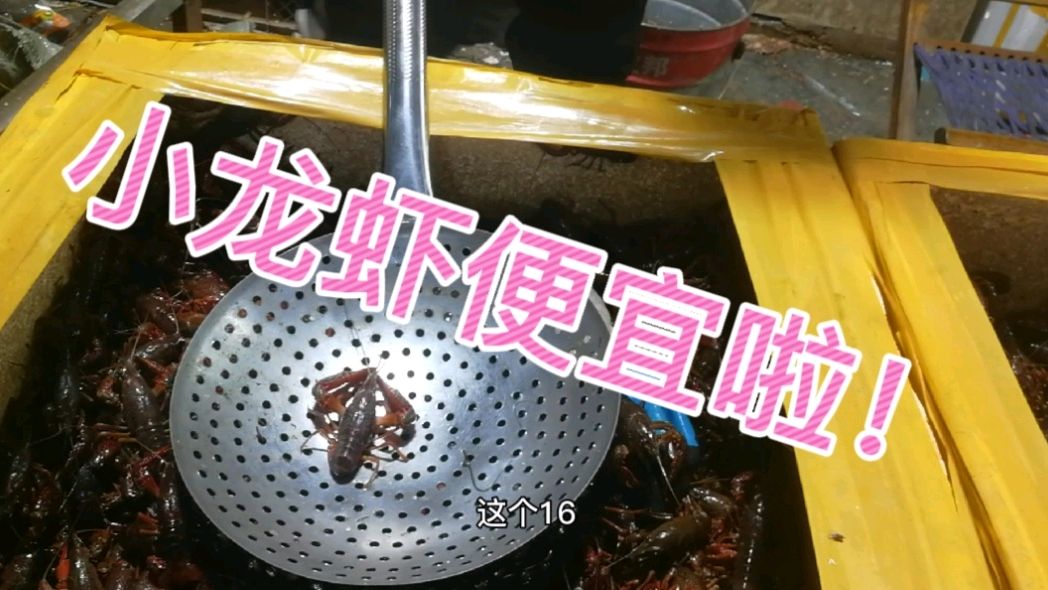 奶爸看娃鸭梨大,怒买鲍鱼龙虾来解乏,好吃吗?
