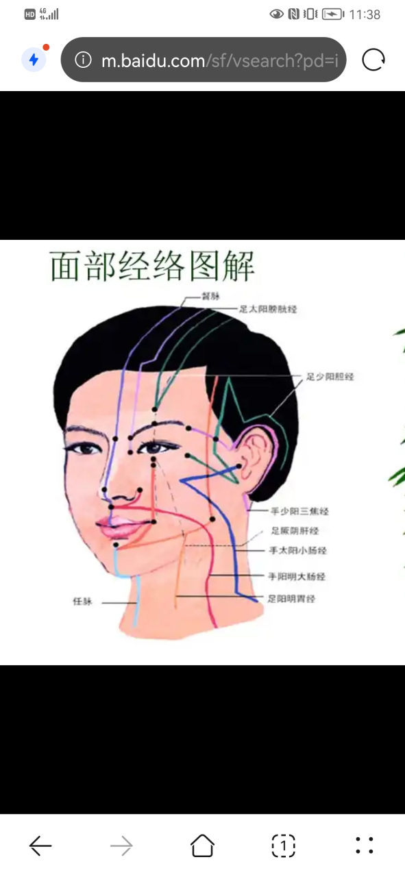 面部刮痧顺序图解图片