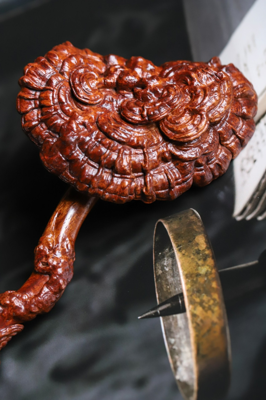 海黄 | 灵芝如意 制作不吝工料,整雕成型.