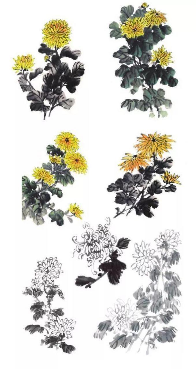 国画菊花的画法,赶紧学习起来吧[心][心][鲜花][鲜花][心][心]