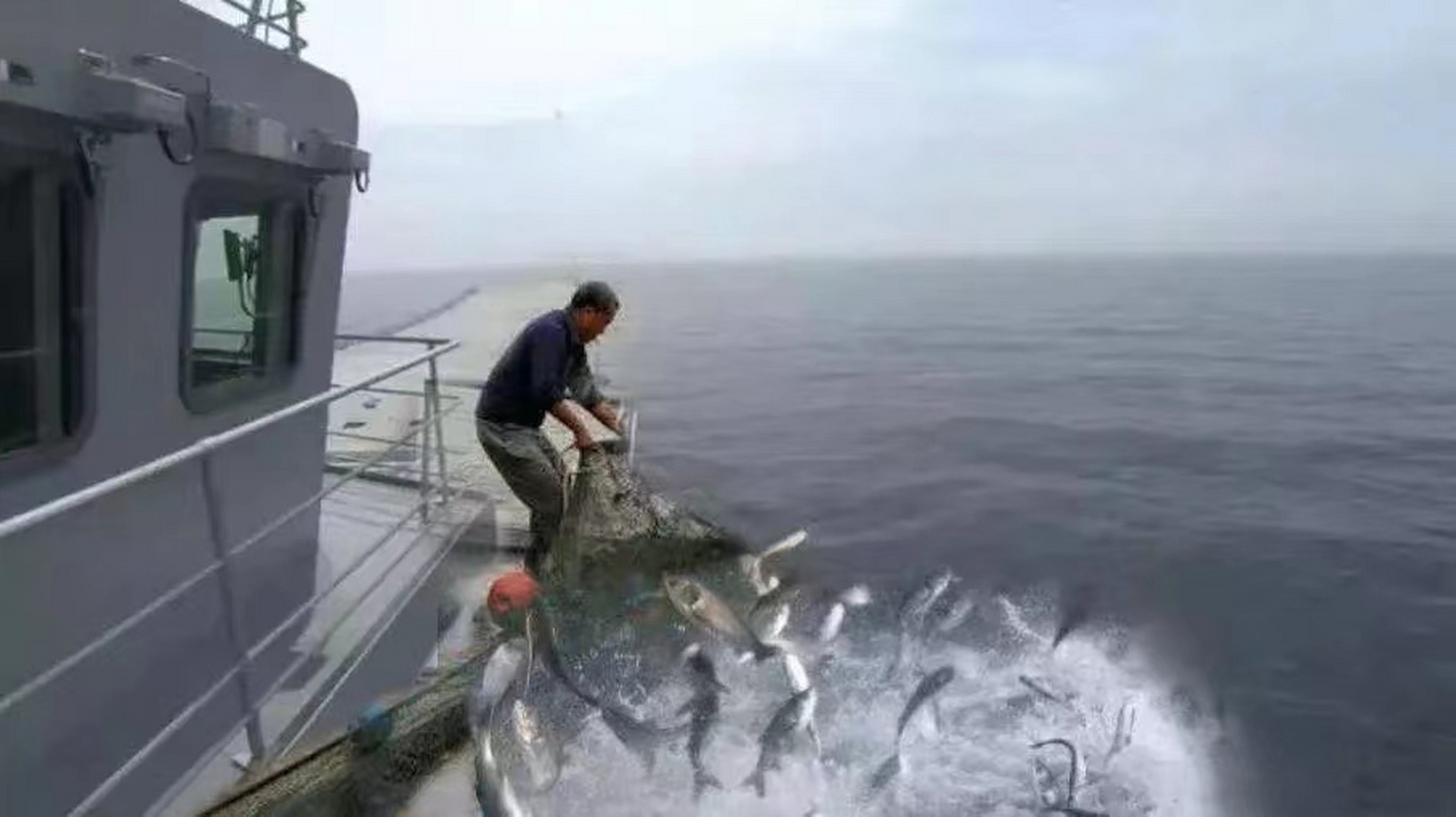 战恐局与战忽局摄影师的区别