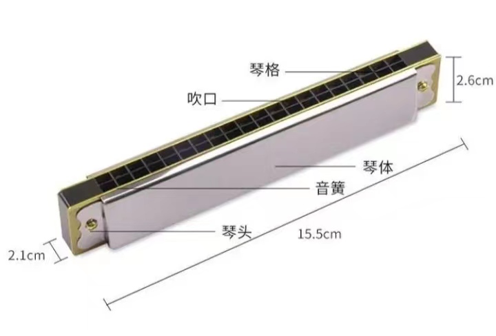 口琴好学吗图片