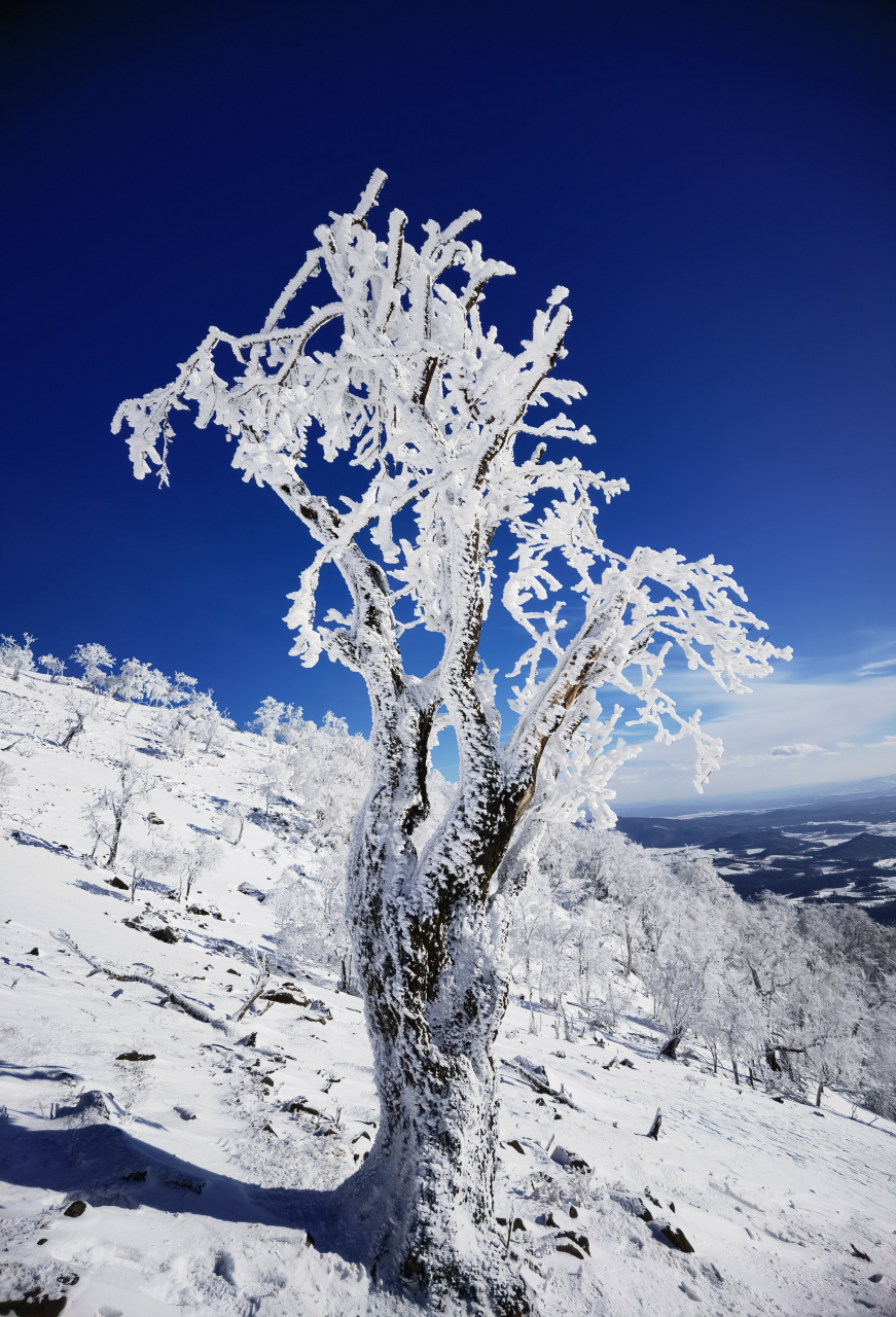 冬季在场证明# 吉林蛟河西土山冬日美景,东北的冬天,有时候美的惊艳