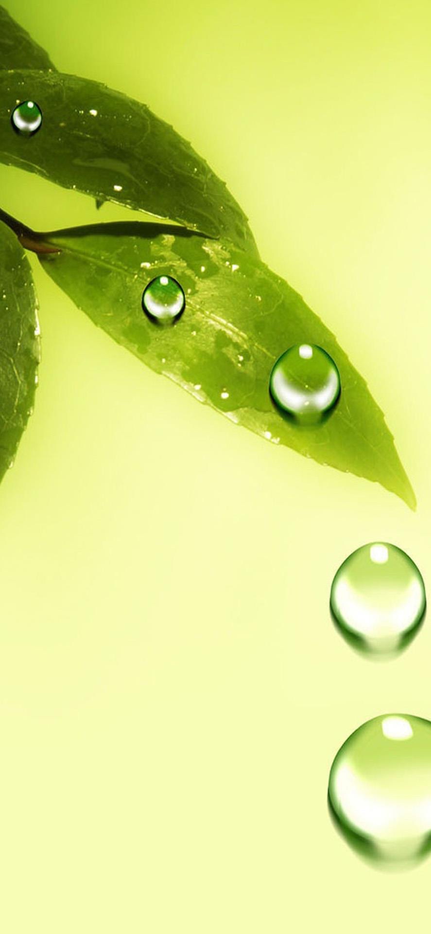 每一滴露珠在太阳的照耀下都能闪烁出无穷无尽的色彩