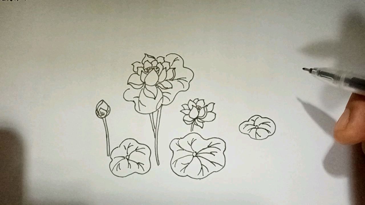 夏至到了,映日荷花别样红,古诗配简笔画,晓出净慈寺送林子方