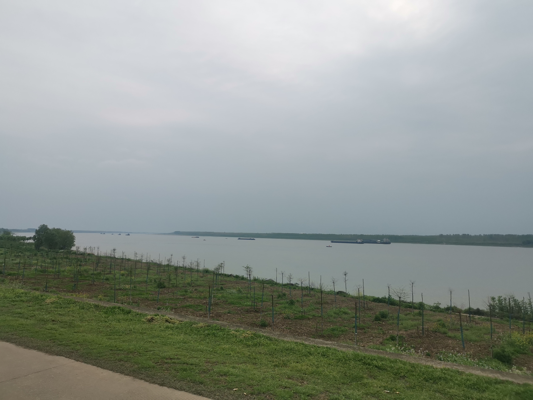 清明节去江夏,嘉鱼县簰洲湾长江大拐弯处兜兜风,参观中山舰博物馆