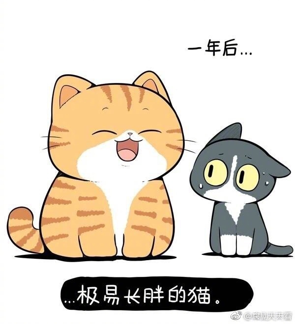 凡事请以大橘为重"联手吧"