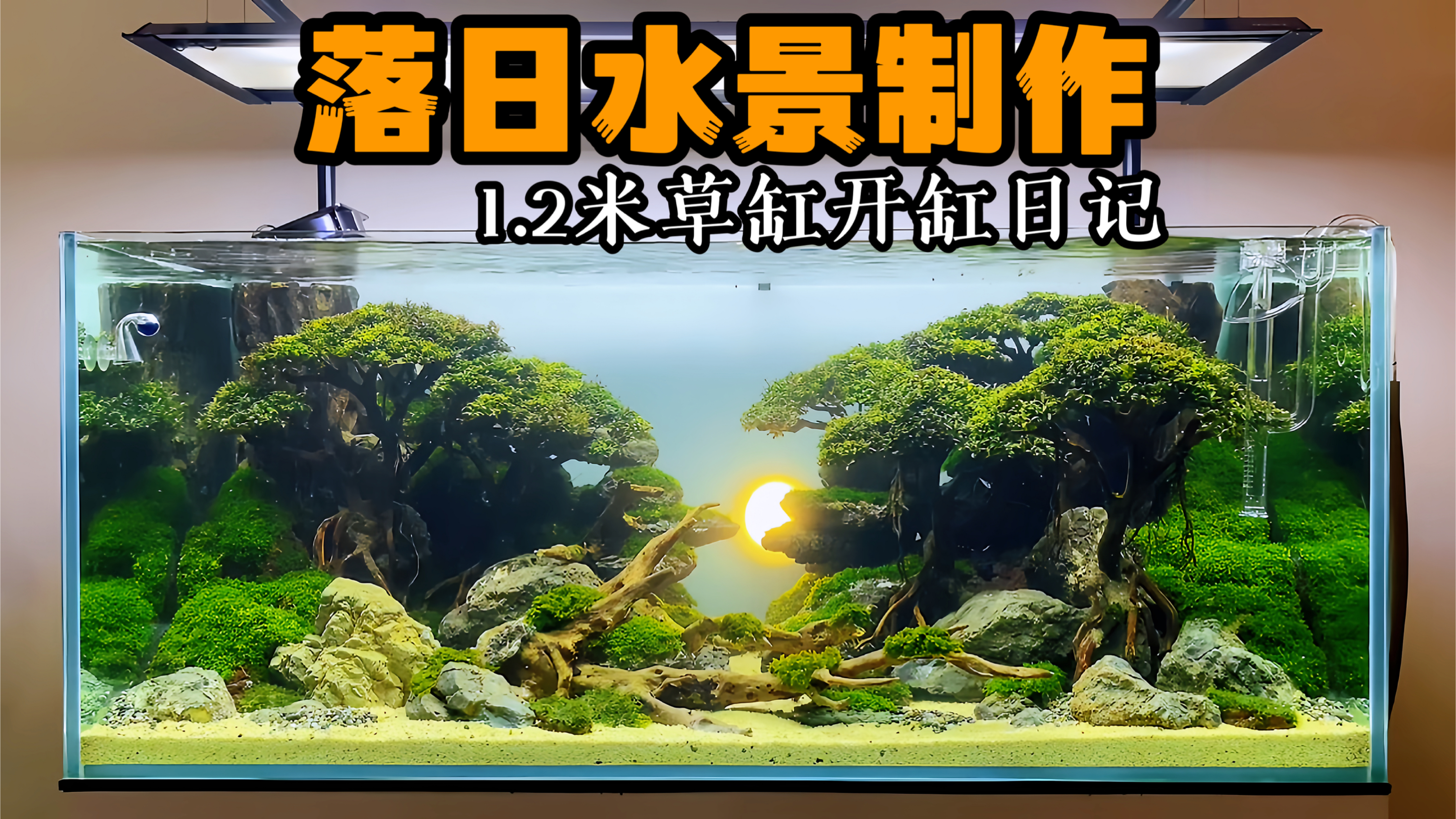 落日水景 - 1.2米草缸开缸日记