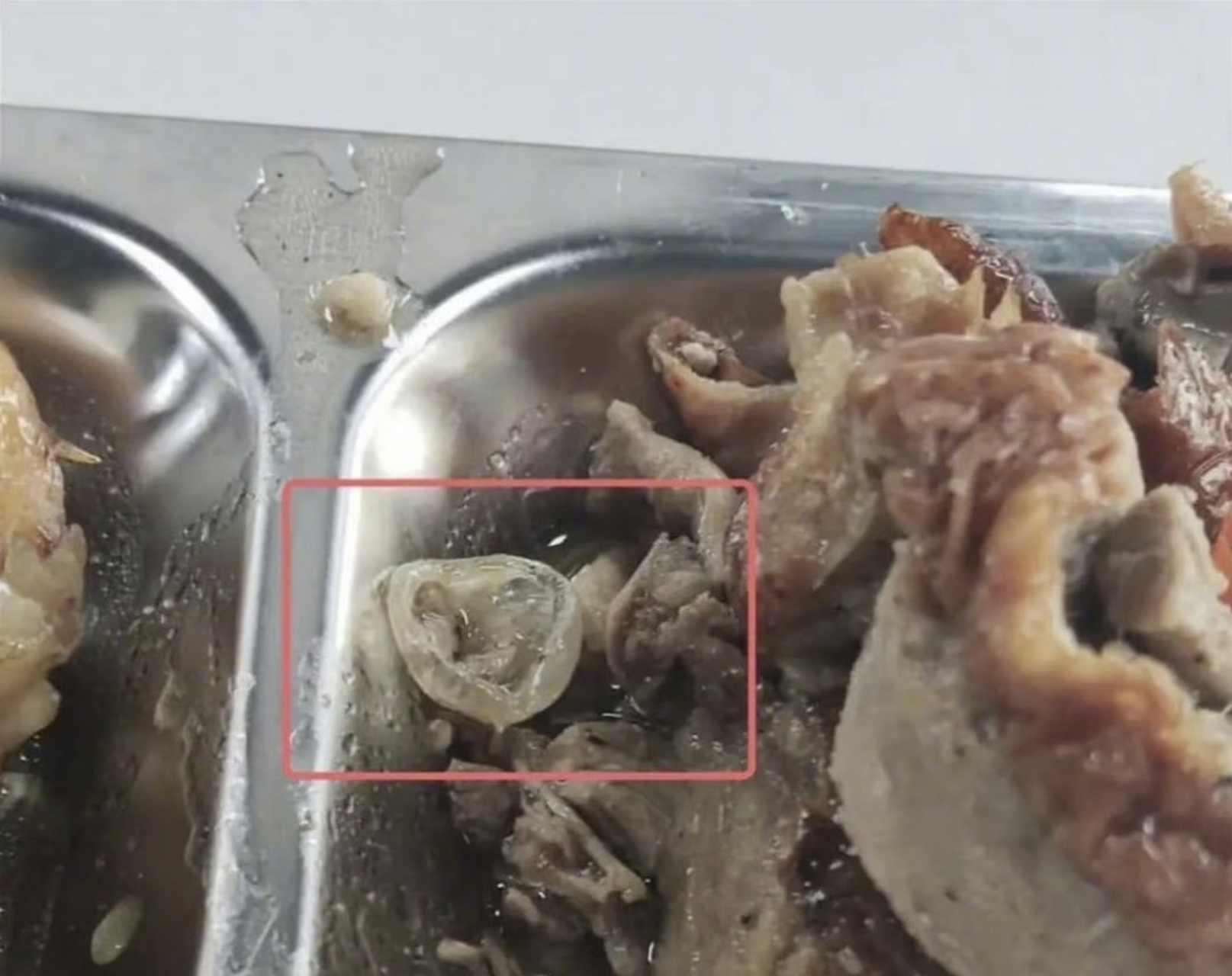 消失的"眼角膜"