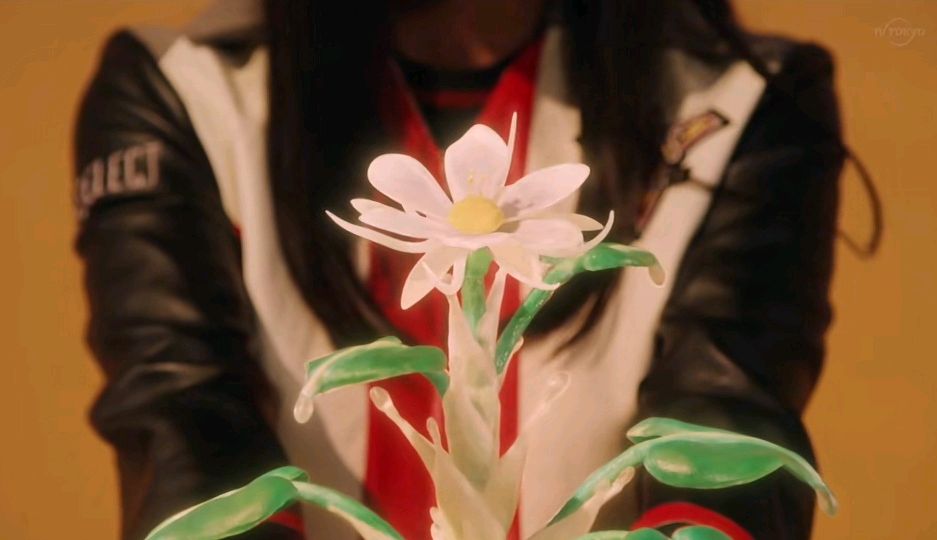 露露耶竟然会开花!