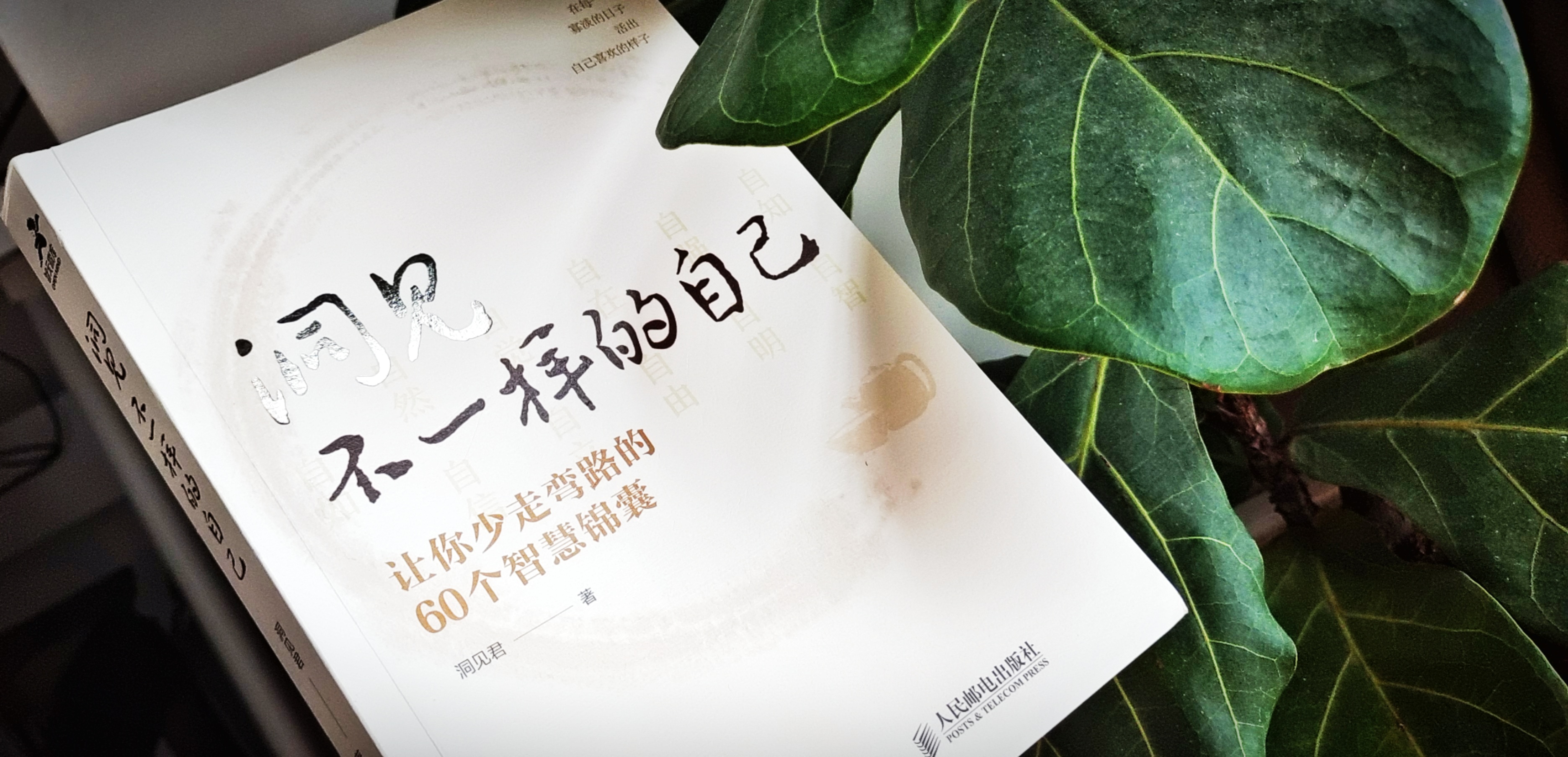 洞见,不一样的自己