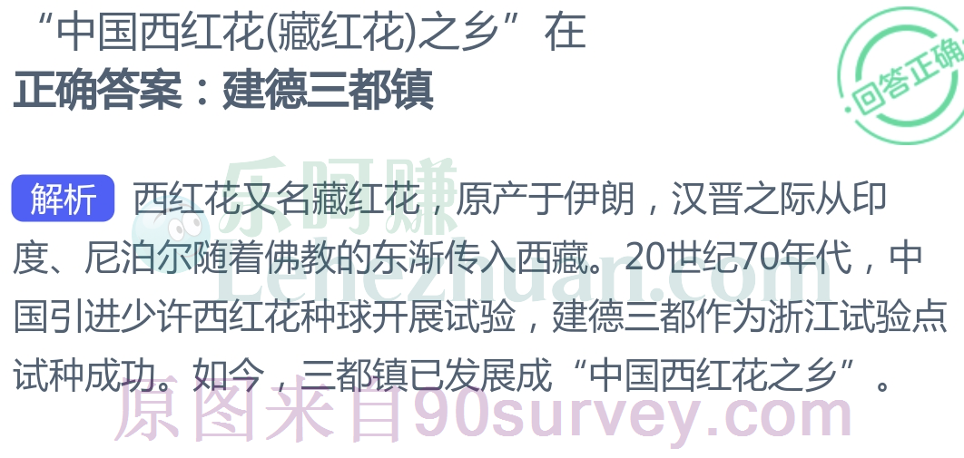 藏红花之乡在建德三都镇