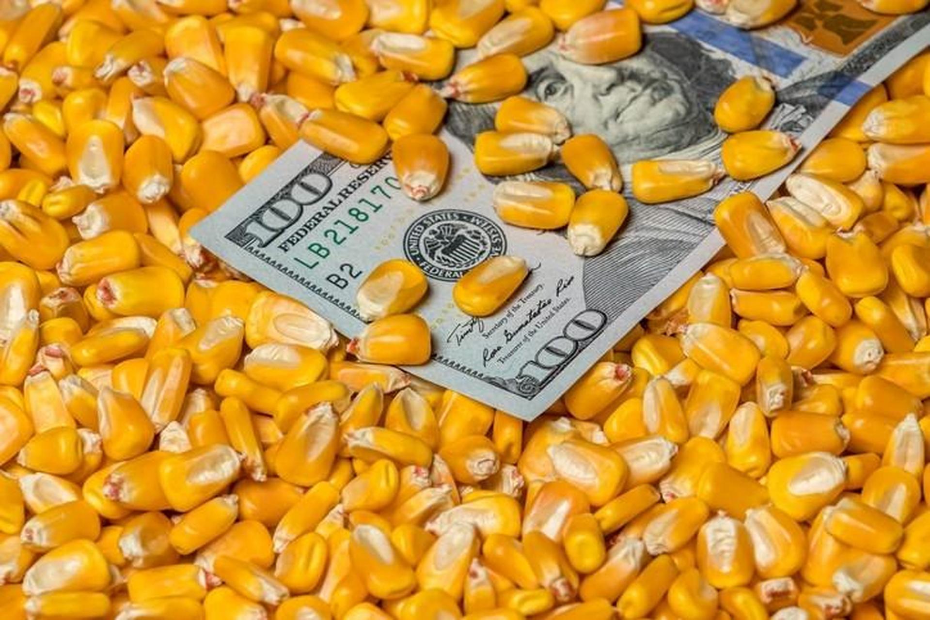 110万吨!美国玉米出口订单被中国取消,外媒:更可怕的还在后面