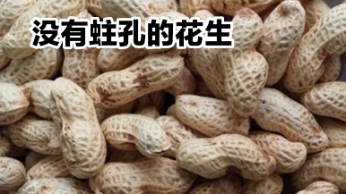 你是否知道,带着黄曲霉素的花生是什么样子?