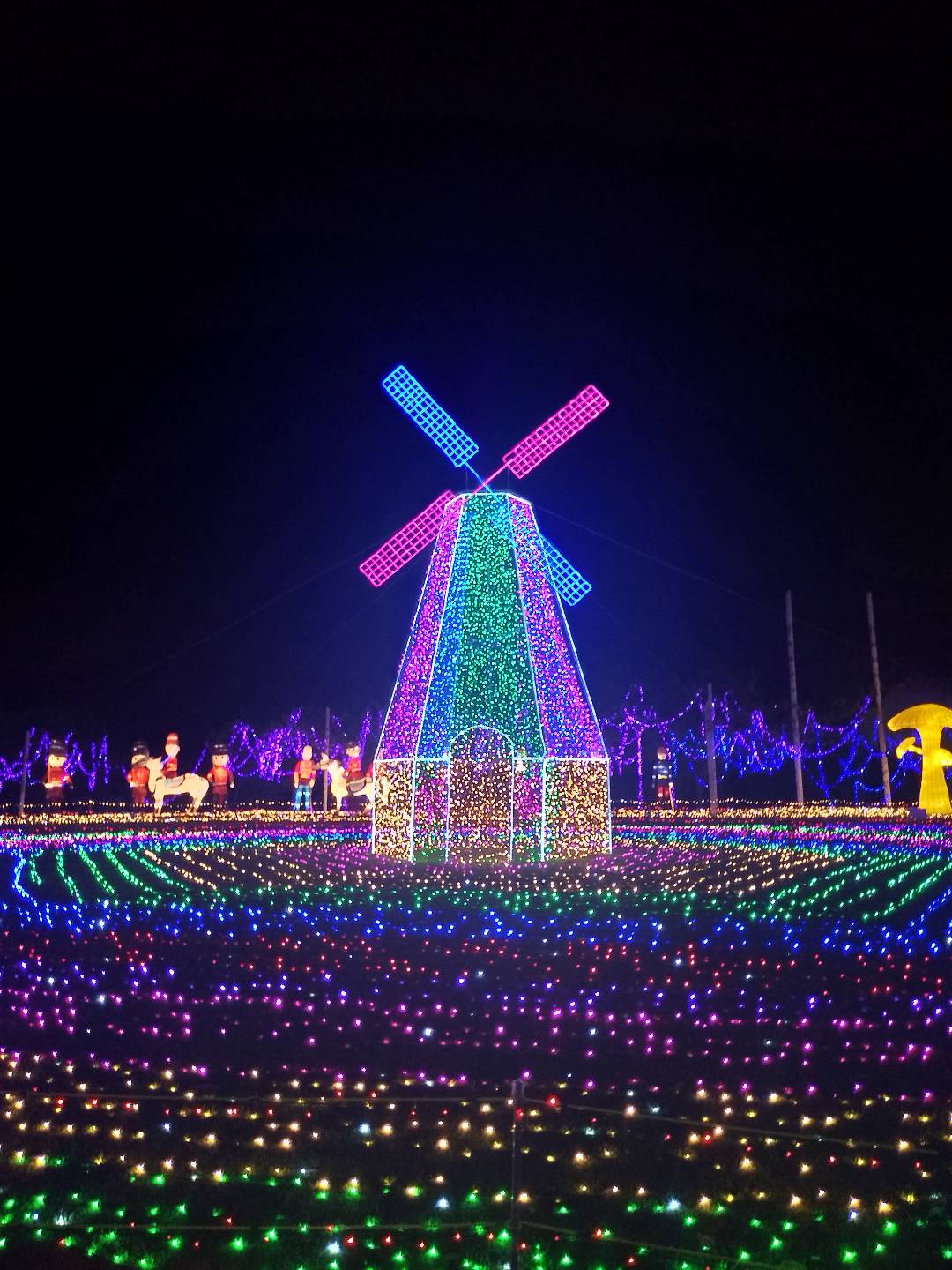 深圳海上田园的夜景