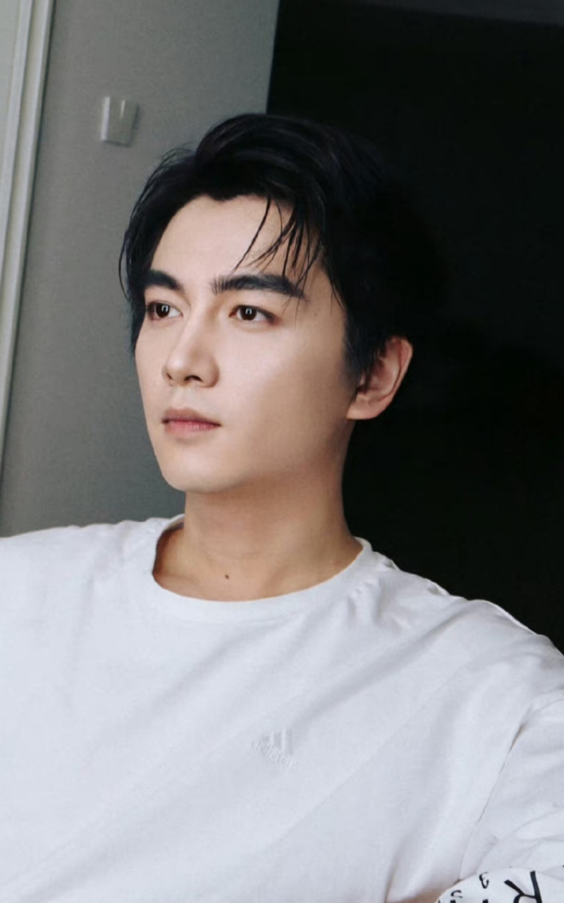 粗眉毛也就陈晓能撑住,眼睛不大却很有神采,脸也特别小,侧脸鼻子很